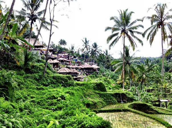 1150837_10102614656549147_2131509490_n