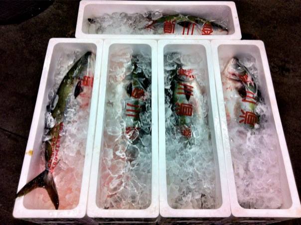 1375765_10102721204251697_369493803_n